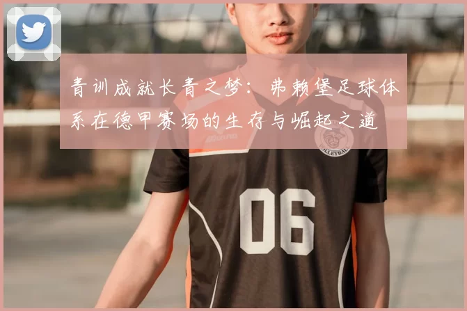 青训成就长青之梦：弗赖堡足球体系在德甲赛场的生存与崛起之道