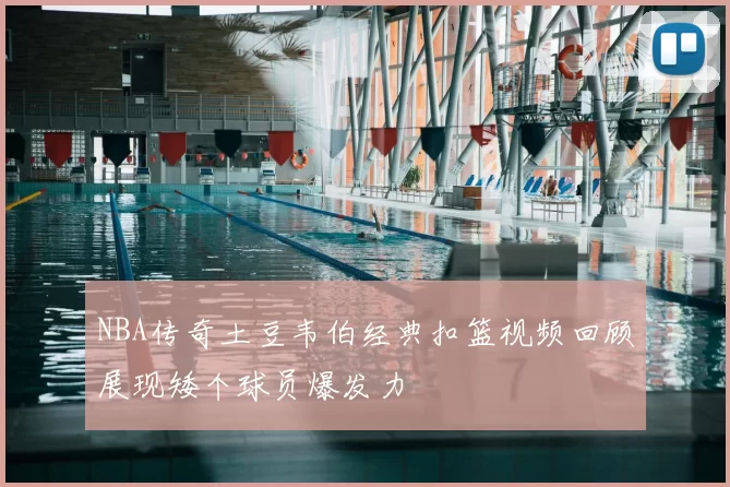 NBA传奇土豆韦伯经典扣篮视频回顾展现矮个球员爆发力
