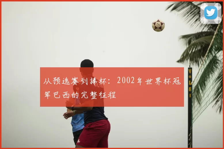 从预选赛到捧杯：2002年世界杯冠军巴西的完整征程