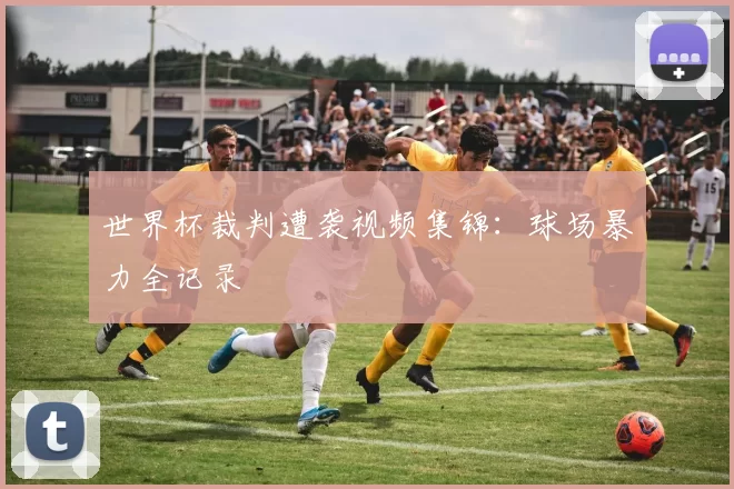 世界杯裁判遭袭视频集锦：球场暴力全记录