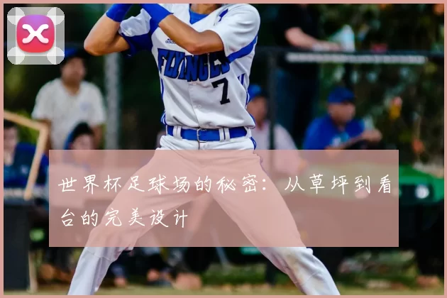 世界杯足球场的秘密：从草坪到看台的完美设计